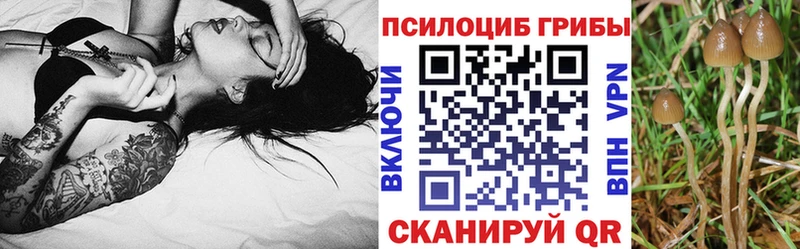 Галлюциногенные грибы MAGIC MUSHROOMS  Хвалынск 